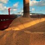 Exportação de soja do Brasil cai 12% em junho, diz Anec