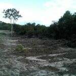 Imobiliária da Capital é multada em R$ 16 mil por desmatamento ilegal em Bonito