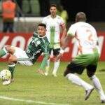Com dois gols de Jesus, Palmeiras bate América e segue líder