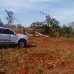 Homem é autuado em R$ 6 mil depois de desmatamento de 20 árvores