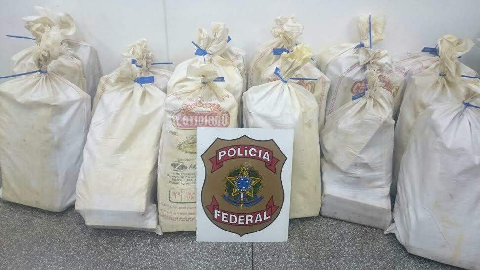 Polícia Federal encontra mais de meia tonelada de maconha em carreta de óleo