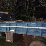 Fiscalização flagra transporte ilegal de madeira e condutor é multado em R$ 1,5 mil
