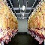 Brasil está perto de abrir mercado de carne bovina in natura dos EUA, diz ministro