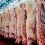 União Européia libera compra de carne bovina ‘in natura’ de todo MS