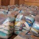 Sedhast compra R$ 5,8 milhões em cestas básicas para distribuir durante pandemia