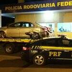 Motorista foge em milharal ao ser abordado com quase 400 kg de maconha pela PRF