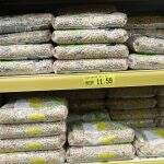 Para reduzir preço, Brasil importará feijão do Paraguai, Bolívia e Argentina