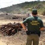 Policial militar é morto em emboscada durante operação do Ibama no Pará