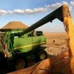 Com atraso no plantio e problemas climáticos, 5 cidades de MS começam colheita de milho