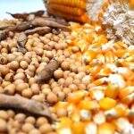 Maio fecha com valorização no preço do milho e da soja em MS