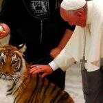 Em audiência com artistas, papa Francisco acaricia tigre no Vaticano