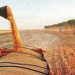 Com problemas climáticos, produção de grãos pode cair 9% em MS
