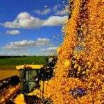 USDA mantém previsão de safra 16/17 de soja do Brasil, mas reduz exportação