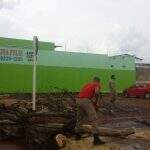 Bastou chover um pouco e a queda de árvore interditou via no bairro Universitário