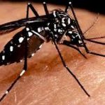 Paciente com dengue morre horas depois de dar entrada no CRS Tiradentes