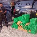 Sul-mato-grossenses são presos em Goiânia com meia tonelada de maconha