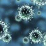 Com início de outono, população deve ficar atenta ao vírus H1N1