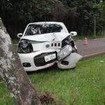 Condutor morre após perder controle de veículo e colidir em árvore na BR-262