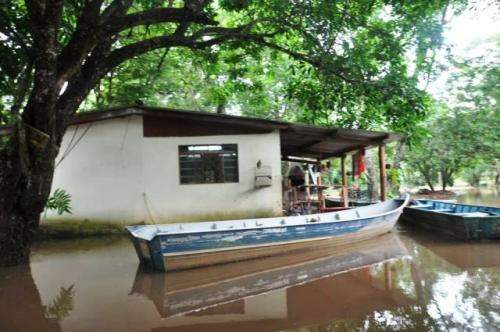 Rio Miranda sobe 4 metros e 11 famílias ficam desabrigadas