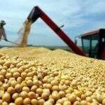 Escoamento de soja via Paranaguá pela região sul reduz em 27% preço do frete de MS