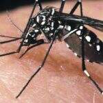 Campanha nacional de mobilização contra o Aedes começa em novembro
