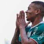 Palmeiras enfrenta Chapecoense de olho no título antecipado do Brasileirão