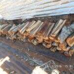 Proprietário de sítio é autuado pela PMA por armazenamento ilegal de madeira