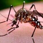 OMS declara fim de emergência por zika, mas alerta que vírus veio para ficar