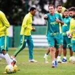 Palmeiras enfrenta Chapecoense por título antecipado no Palestra Itália