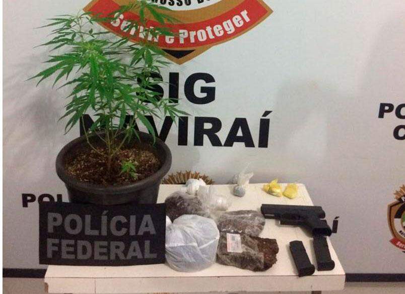 Três são presos e polícia apreende pé de maconha durante operação