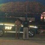 Motorista embriagado que dirigia em ‘zig-zag’ com carga de 26 toneladas é preso em MS