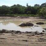 Fazendeiro é multado em R$ 12 mil por degradar matas ciliares do Rio Taquarussu