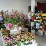 Vendas para o Dia de Finados em floriculturas caem 31,8%