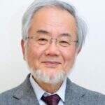 Japonês que pesquisou autofagia leva Nobel de Medicina