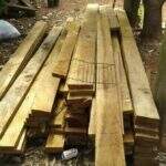 Assentado é multado em R$ 900 por armazenar madeira ilegalmente