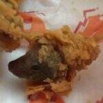 Cliente de fast food encontra cabeça de rato em porção de frango frito