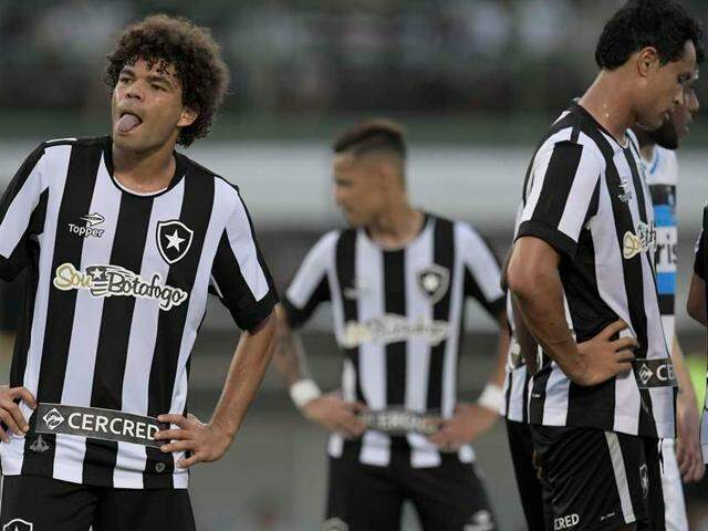 Botafogo faz boa partida e segura Santos fora do G-4