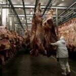 Frigorífico de MS realiza primeiro embarque de carne bovina in natura para EUA