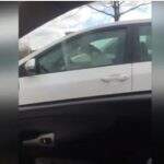 Cachorro deixado dentro de carro buzina para chamar atenção da dona