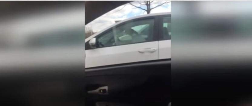 Cachorro deixado dentro de carro buzina para chamar atenção da dona