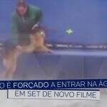 VÍDEO: pré-estreia de filme é cancelada após cachorro ser forçado a entrar na água