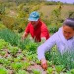 Governo de MS cria projetos de apoio à agricultura familiar e indígena