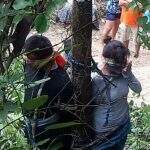 Boliviana morre após ser amarrada em árvore com formigas venenosas