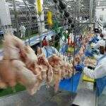 Coreia do Sul suspende proibição temporária às vendas de frango da BRF