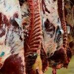 Entidades afirmam qualidade da carne brasileira e ‘trabalho exemplar em MS”