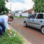 [BASTIDORES] À exemplo do tucano paulista com pompa de presidenciável