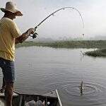 Veja as normas para voltar à pescaria sem cometer crime ambiental em MS