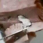 Vídeo com tender recheado com etiqueta e plástico viraliza após Carne Fraca