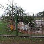 Chuva chega a Campo Grande e já causa danos no interior de MS