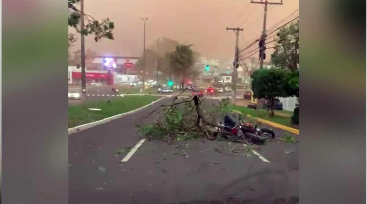 VÍDEO: motociclista é derrubado por árvore arrancada pelo vendaval